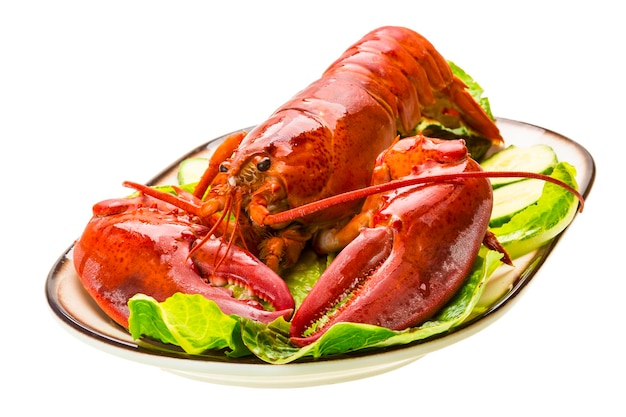 Grand Homard