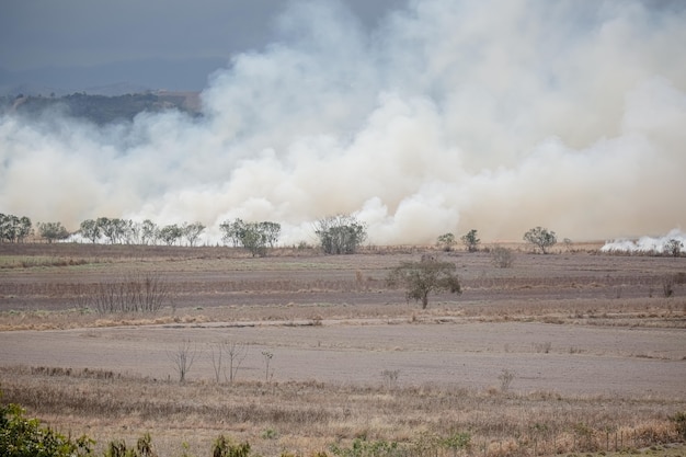 Un grand incendie détruit la végétation dans la zone d'une ferme