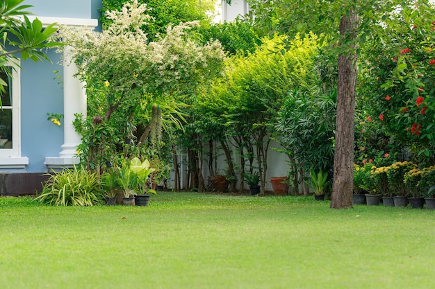 Un grand jardin d'herbe, des plantes et des fleurs décorent la maison.