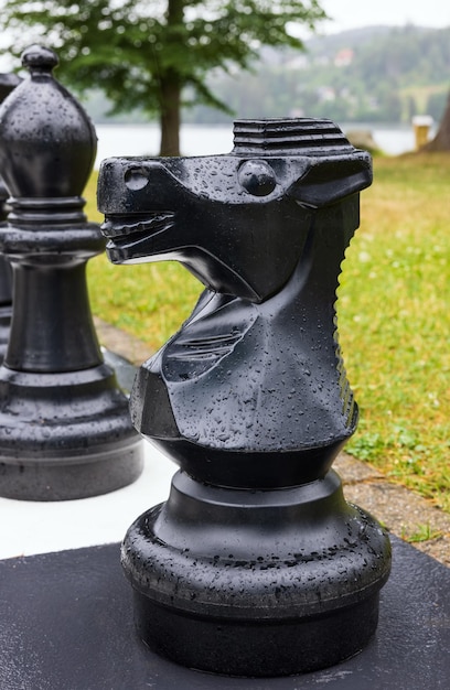 Grand jeu d'échecs de rue avec figurines