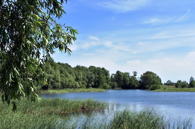 grand lac bleu de la forêt et ciel bleu