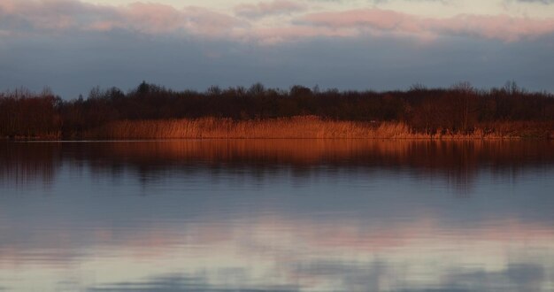 Photo grand lac en hiver le matin au lever du soleil