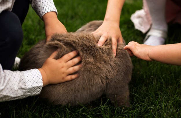 Grand lapin et enfants