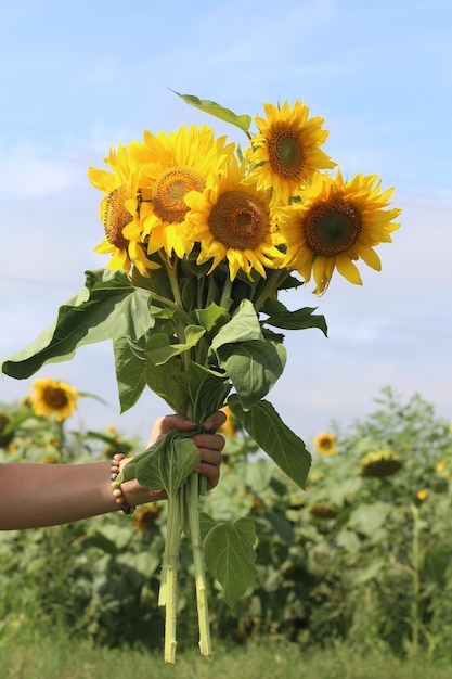 Photo un grand et lumineux bouquet de tournesols