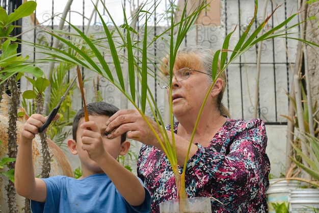 Grand-mère apprend à son petit-fils à jardiner à la maison