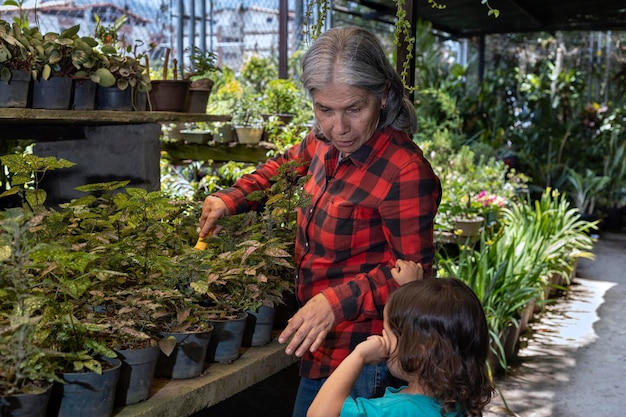 Photo une grand-mère apprend à son petit-fils latino-américain à travailler dans son jardin