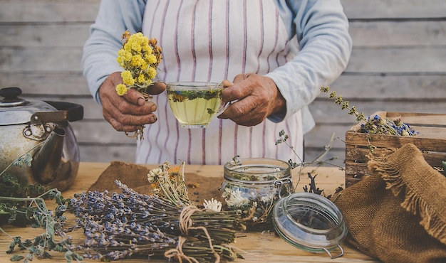 Grand-mère fait du thé avec des herbes médicinales Mise au point sélective