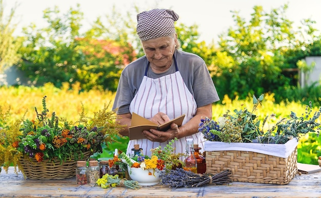 Grand-mère fait des teintures à partir d'herbes médicinales Mise au point sélective