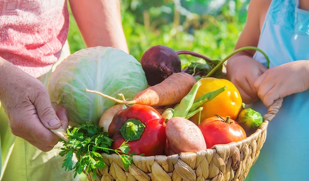 Grand-mère avec légumes dans le jardin.