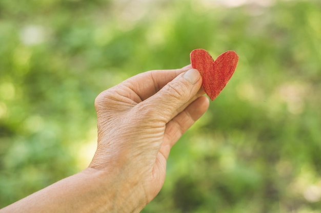 Grand-mère vieille main tenir coeur