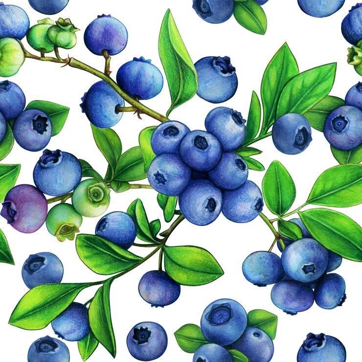 Photo grand modèle sans couture de bleuets aquarelle