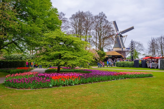 Grand moulin à vent en pierre rétro et tulipes dans le parc Keukenhof Lisse Holland Pays-Bas