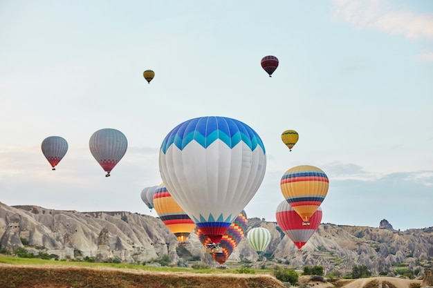 Grand nombre de ballons volent le matin dans le ciel