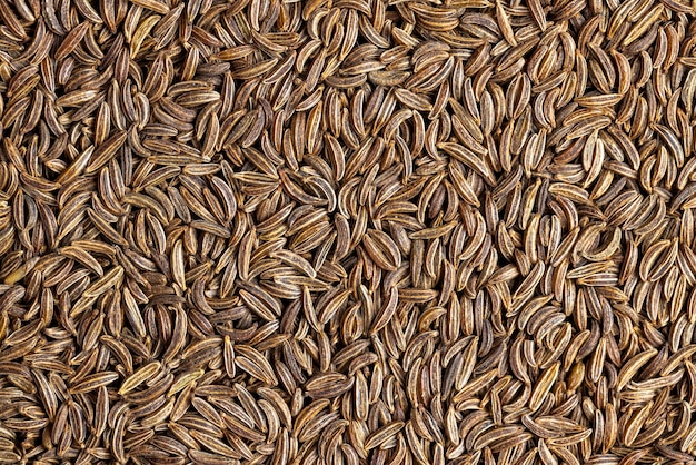 un grand nombre de graines de cumin qui sont utilisées comme épices dans la cuisson un tas de graines de cumin sèches pour cuisiner ou semer et obtenir une nouvelle récolte