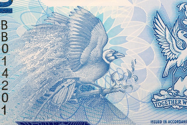 Grand oiseau de paradis en argent de Trinité-et-Tobagox9