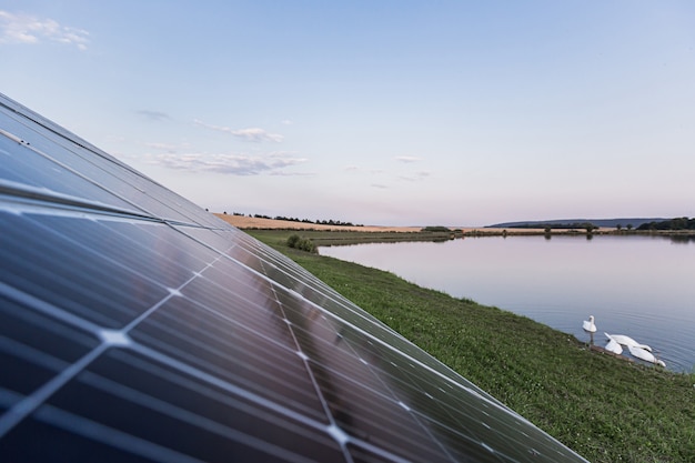 Grand panneau solaire près du lac avec des oiseaux, éco d'énergie renouvelable