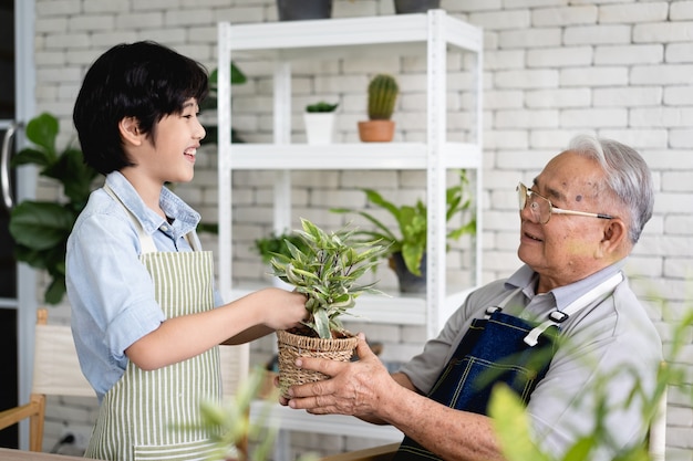 Grand-père jardinant et enseignant petit-fils prendre soin des plantes à l'intérieur