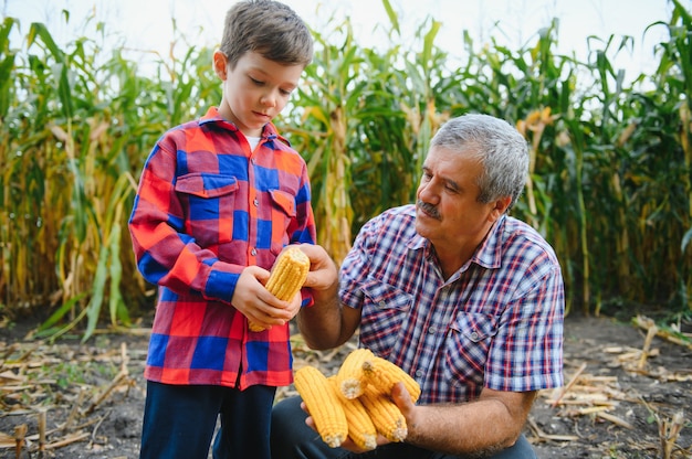 Grand-père et petit-fils avec des épis de maïs mûrs prenant un selfie près de plantes sèches tout en travaillant ensemble dans un domaine agricole