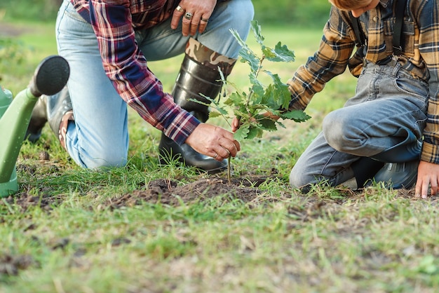 Grand-père et petit-fils plantant des chênes dans le sol parmi d'autres arbres de la forêt. Enregistrez le concept de la nature.