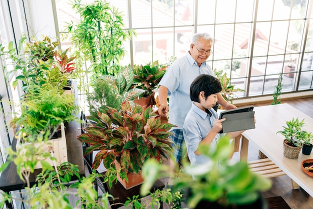 grand-père et petit-fils vivent pour vendre des plantes sur une tablette