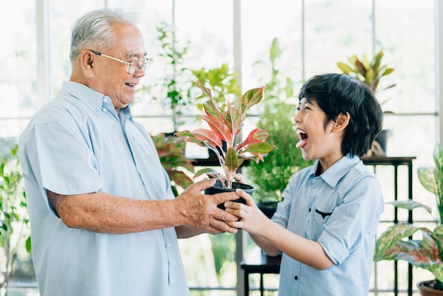 Un grand-père à la retraite asiatique et son petit-fils aiment prendre soin des plantes dans un jardin intérieur