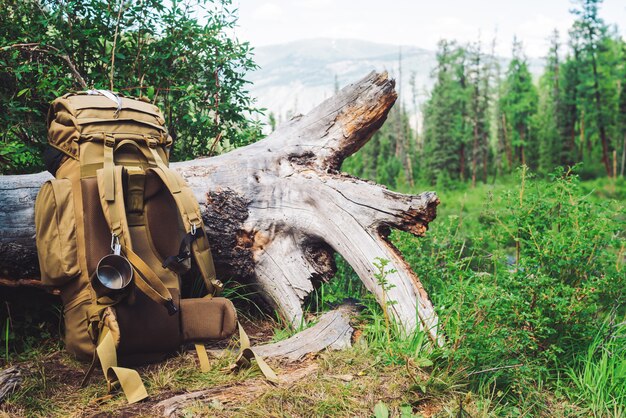 Grand sac à dos de camping beige avec une tasse en métal près de l'arbre contre la forêt de conifères avant la montagne.