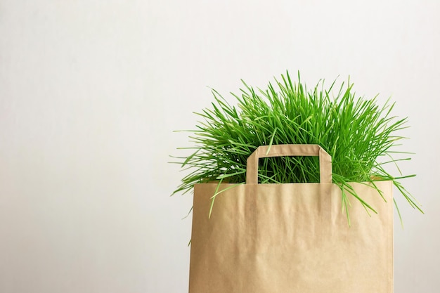 Un grand sac en papier d'herbe verte sur fond clair