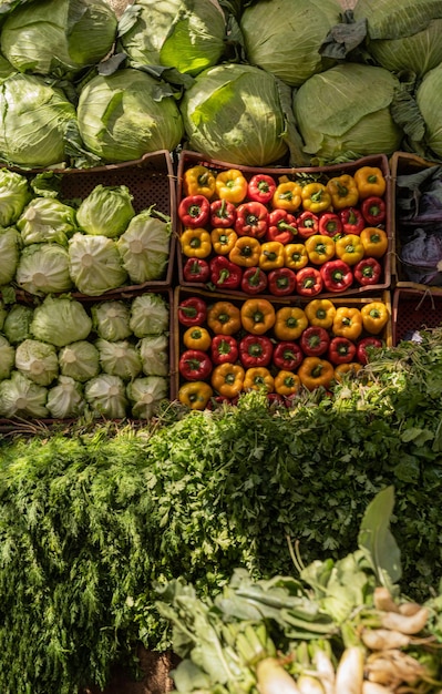 Grand stand de marché plein de légumes bio