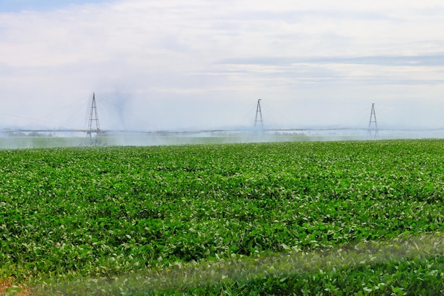 Grand système d'irrigation agricole dans un champ