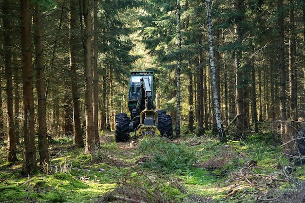 Un grand tracteur dans une forêt