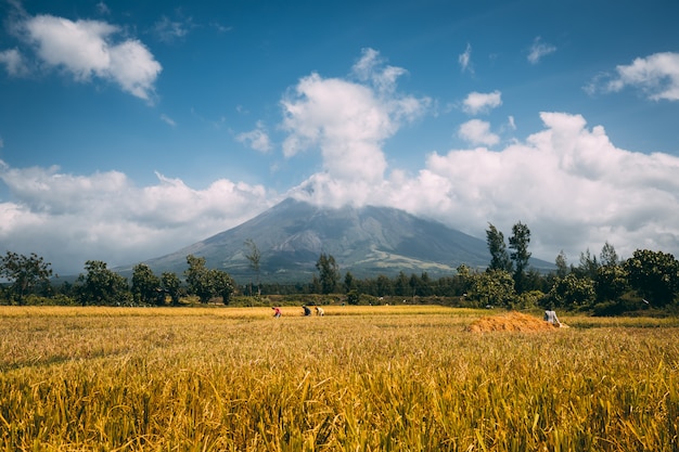 Grand volcan mayon sur l'île de luzon aux philippines