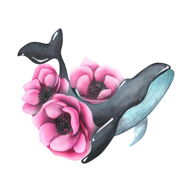 Grande baleine en noir et turquoise parmi les fleurs d'anémones roses Illustration aquarelle dessinée à la main Composition isolée sur fond blanc Pour affiches cartes autocollants imprime tatouages