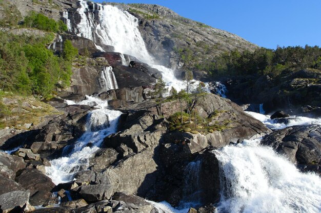 Grande cascade dans les bois d'été, norvège