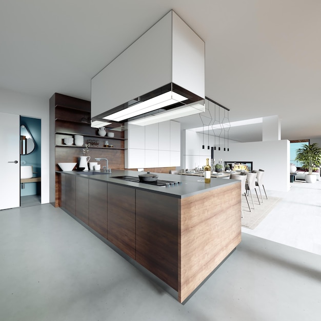 Grande cuisine dans un style scandinave moderne façade meubles blancs et bois