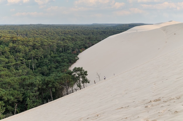 La grande dune du pyla grande dune du pilati envahissant la pinède du bassin d'Arcachon France