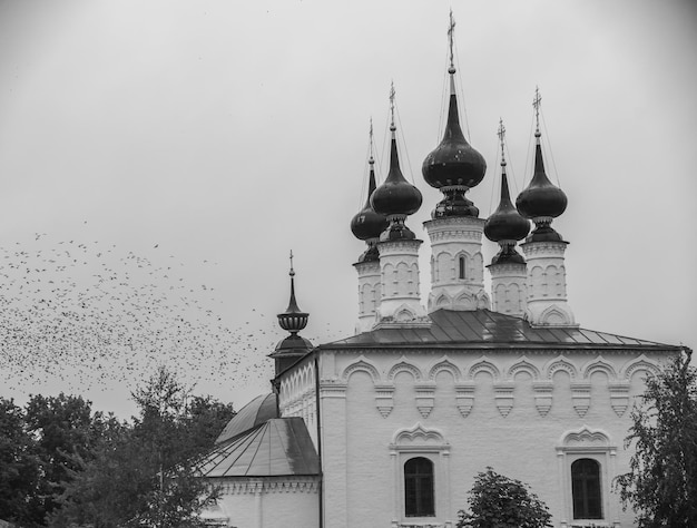 Grande église chrétienne dans le village et oiseaux volants souzdal russie