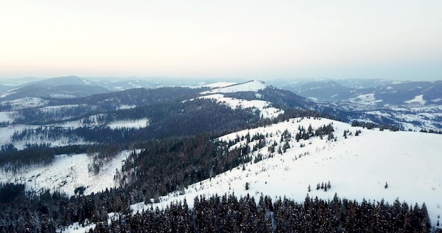 De grande hauteur paysage de montagne de conte de fées couvert de neige sommets pointus alpins Hiver sauvage dans les montagnes des Carpates Ukraine Épais nuages blancs Espace ouvert Aérien 4K