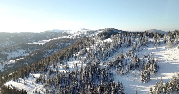 De grande hauteur paysage de montagne de conte de fées couvert de neige sommets pointus alpins Hiver sauvage dans les montagnes des Carpates Ukraine Épais nuages blancs Espace ouvert Aérien 4K