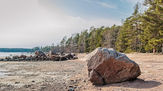 Grande pierre de granit et vue sur forêt près de la mer