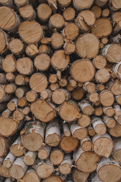 Une grande pile de bois de chauffage en arrière-plan