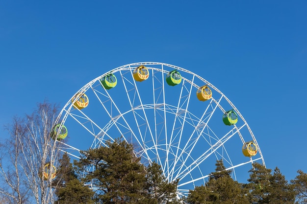 Grande roue au-dessus des arbres