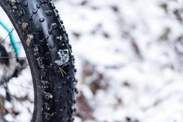 Grande roue de Fatbike en hiver