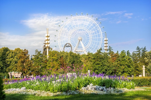 Grande roue Soleil de Moscou et fleurs VDNKh Moscou