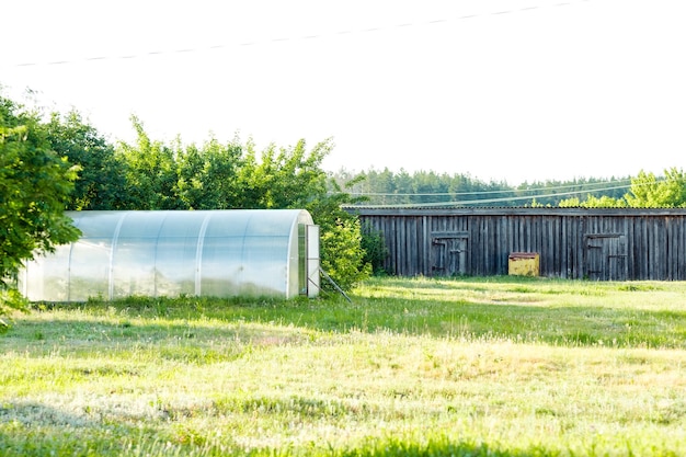 Grande serre en plastique dans la rue légumes bio d'été