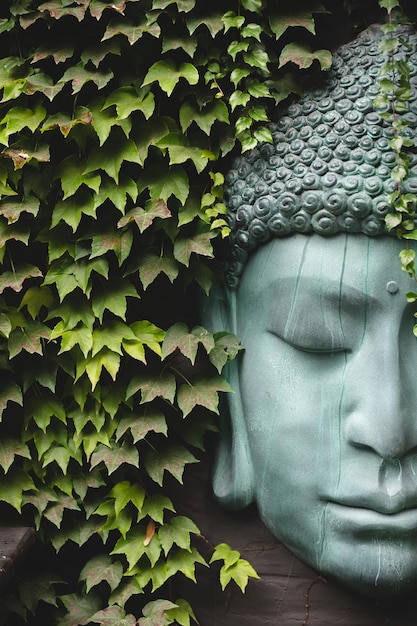 Une grande statue représentant un bouddha sur fond de feuilles vertes