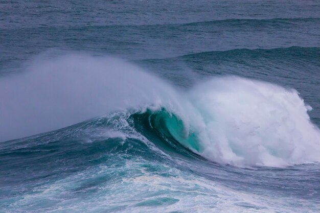 Une grande vague dans l'océan