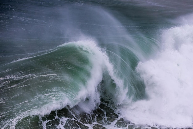 Une grande vague dans l'océan