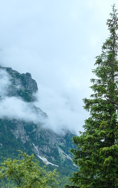 La grande vallée froide (Velka Studena dolina) vue nuageuse d'été. Hautes Tatras, Slovaquie.