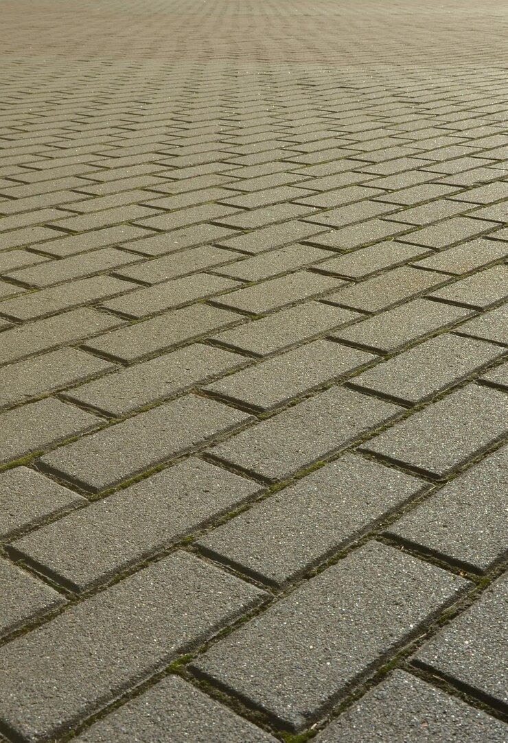 Photo une grande zone couverte d'une pavée de qualité à la lumière du jour