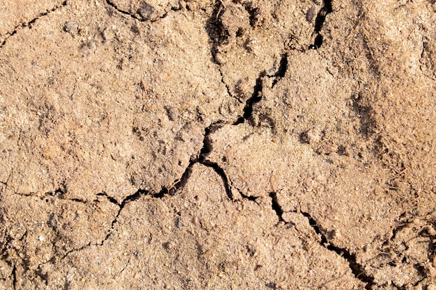 De grandes fissures sur un sol sec se bouchent